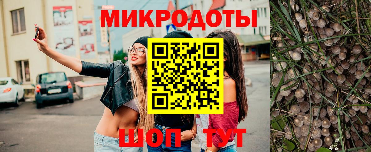 Псилоцибиновые грибы Psilocybine cubensis  Вход с VPN  Кострома 