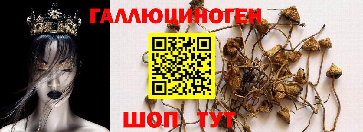 Галлюциногенные грибы MAGIC MUSHROOMS Кострома